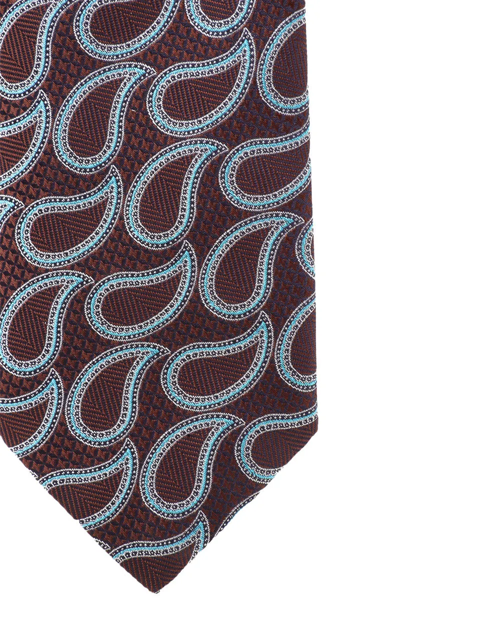 Exploded Paisley Silk Tie in Blue and Brown