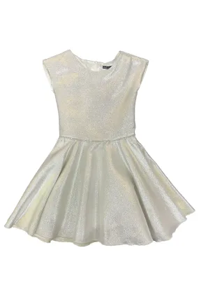 Platinum Jacquard Skater Dress