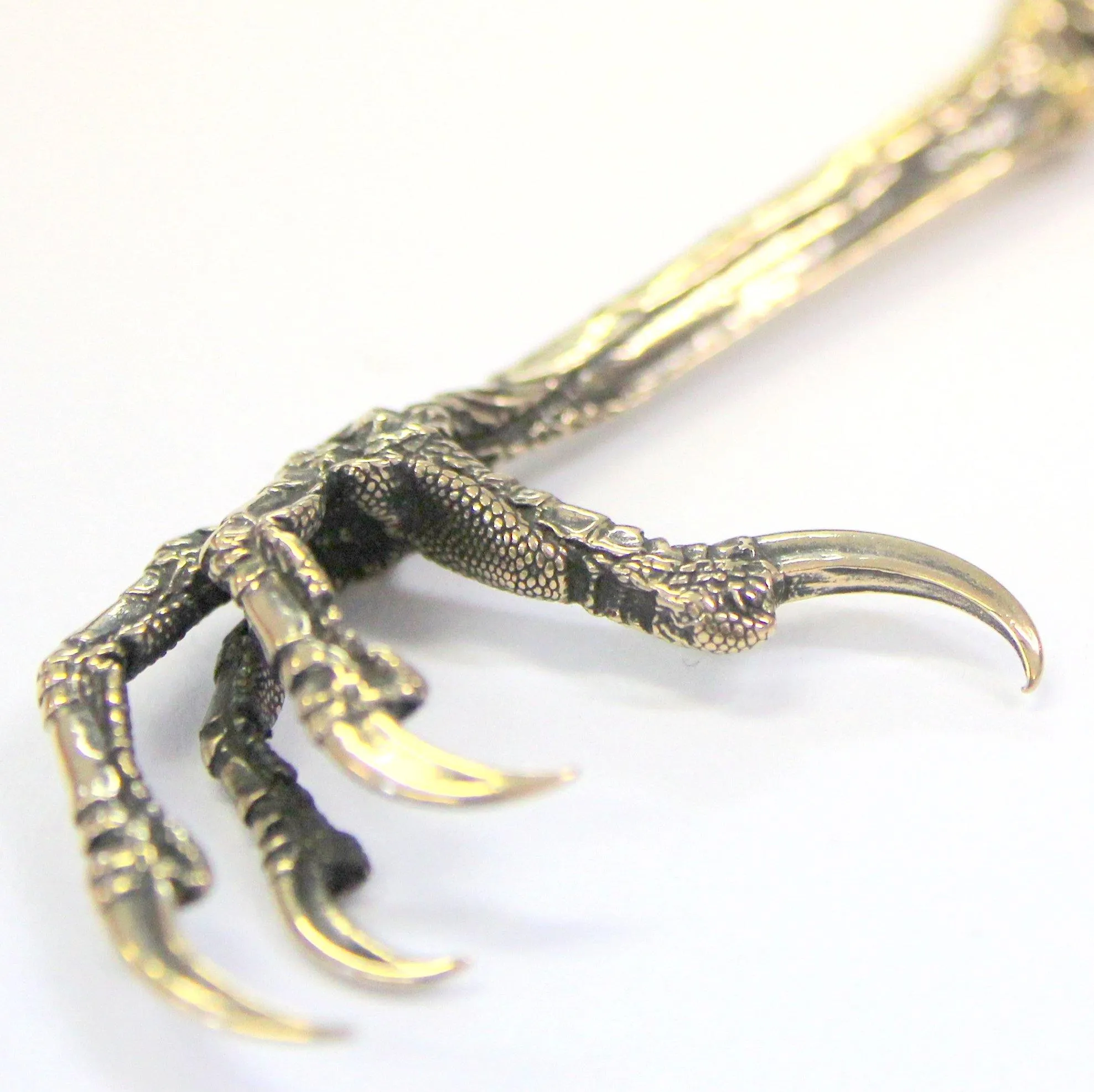 Bird Claw Pendant Necklace with Raven and Crow Details