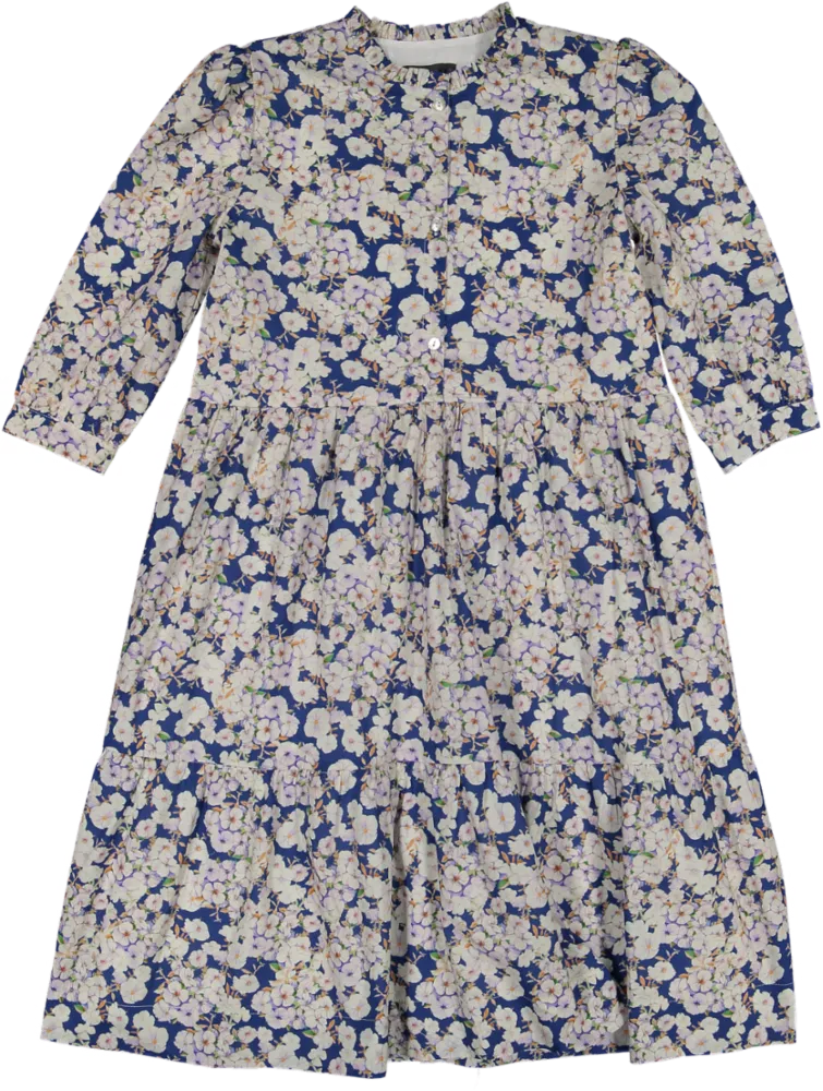 GS24118 A Dress Fraze